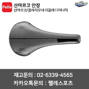 산마르코안장