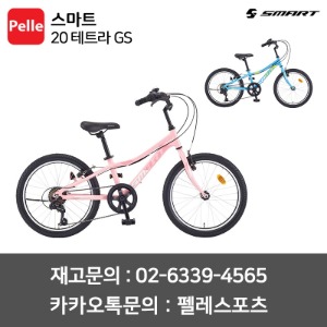 SMART 스마트 20 테트라 GS 어린이자전거 MTB