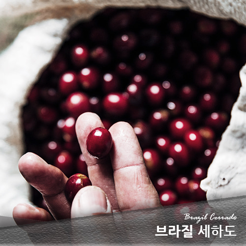 에누리커피 1kg 브라질 세하도