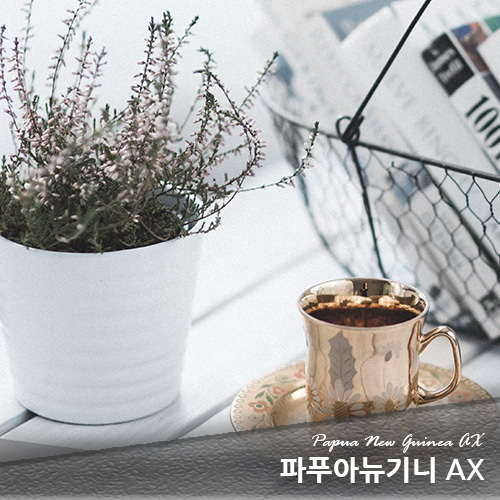 에누리커피 10kg 파푸아뉴기니 AX(5%할인상품)