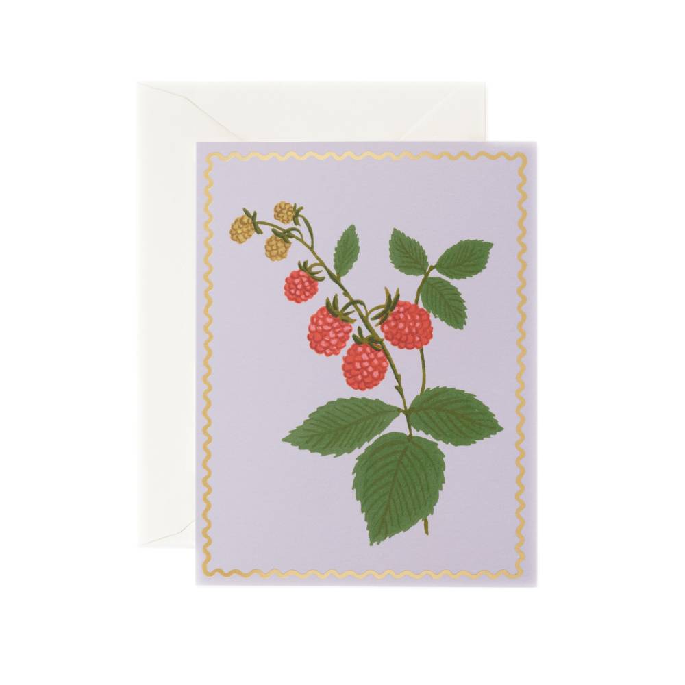 라이플페이퍼 Raspberry Card 일상 카드