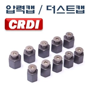 CRDI압력캡 더스트캡(D-870)