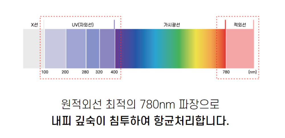 악세사리 -S436L1