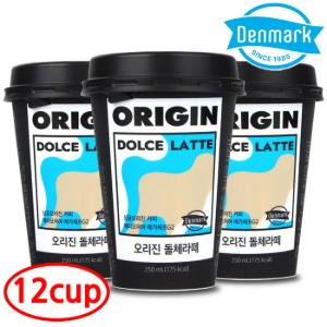 덴마크 오리진 돌체라떼 250ml x 12개