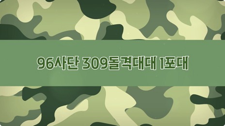 Military : 군대, 군인