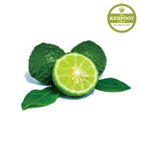 버가못 에센셜 오일(Bergamot E.O)