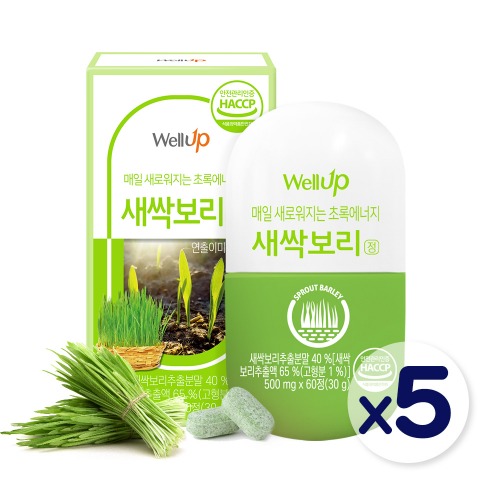 로엘 타블랩 새싹보리정 (500mg x 60정) 5통