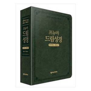 프뉴마 드림 큰글씨 가죽 성경책 큰글자 큰글 주석 성경 개역개정