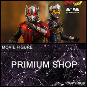 (A검수확인품)핫토이즈앤트맨앤와스포제품hottoysantmansixthscalefiguresideshowcollectibles(수량품)