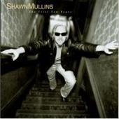 Shawn Mullins / The First Ten Years (미개봉)