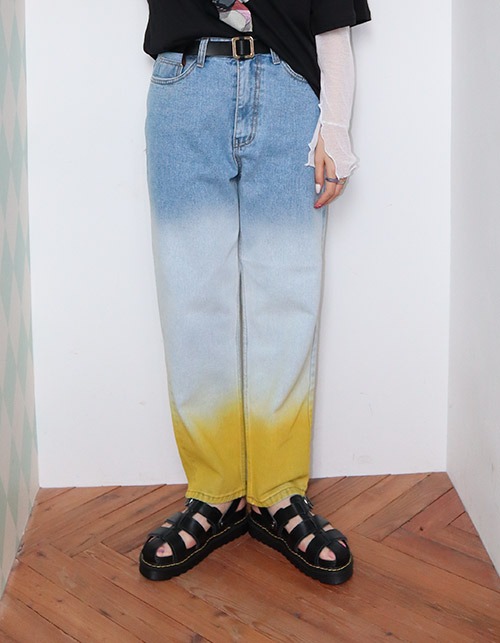 gradation standard denim pants (2 colors)