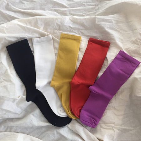 long color socks (5 colors) 