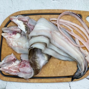 [당일생물] 통영창고 - 대왕 바다장어 1kg/ 말도안되는 역대급 가격!