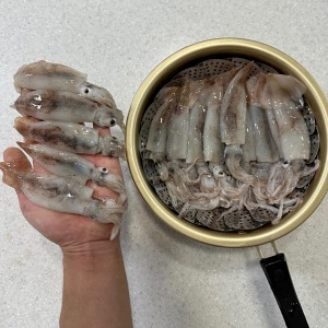 [당일생물] 큐큐창고 -오리지널 미니오징어 1kg