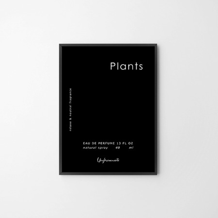 PLANTS 모던 인테리어 액자