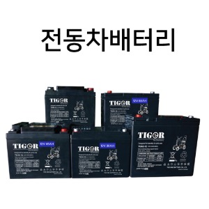 전동차 배터리2개 1세트 타이거 배터리모음전12V  전동휠체어 전동스쿠터