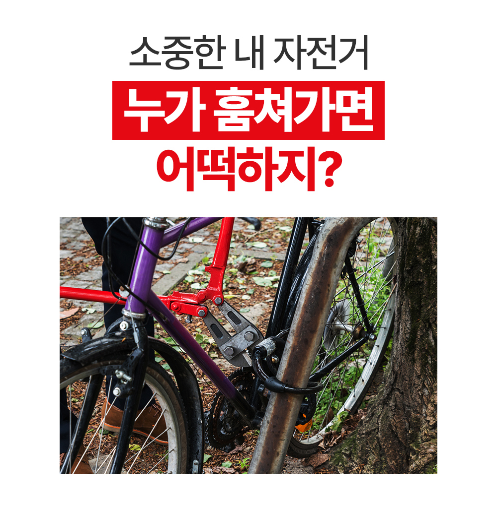 Ǽ縮 ǰ ̹-S1L16