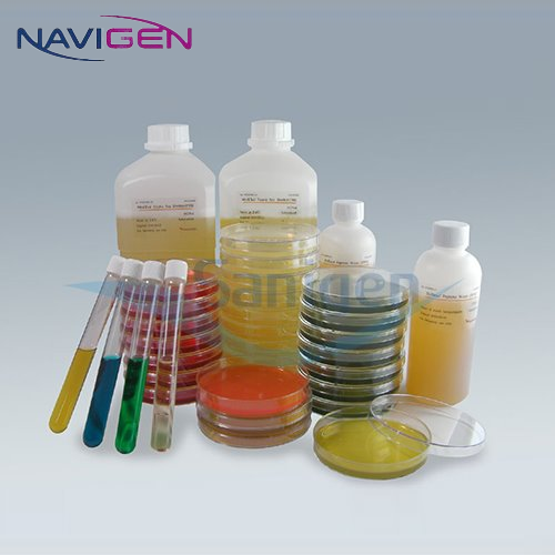 [Navigen] BG Sulfa Agar Plate 50개