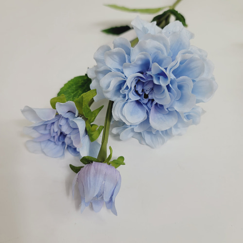 다알리아가지(11color) - LT.블루