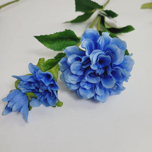 다알리아가지(11color) - 블루