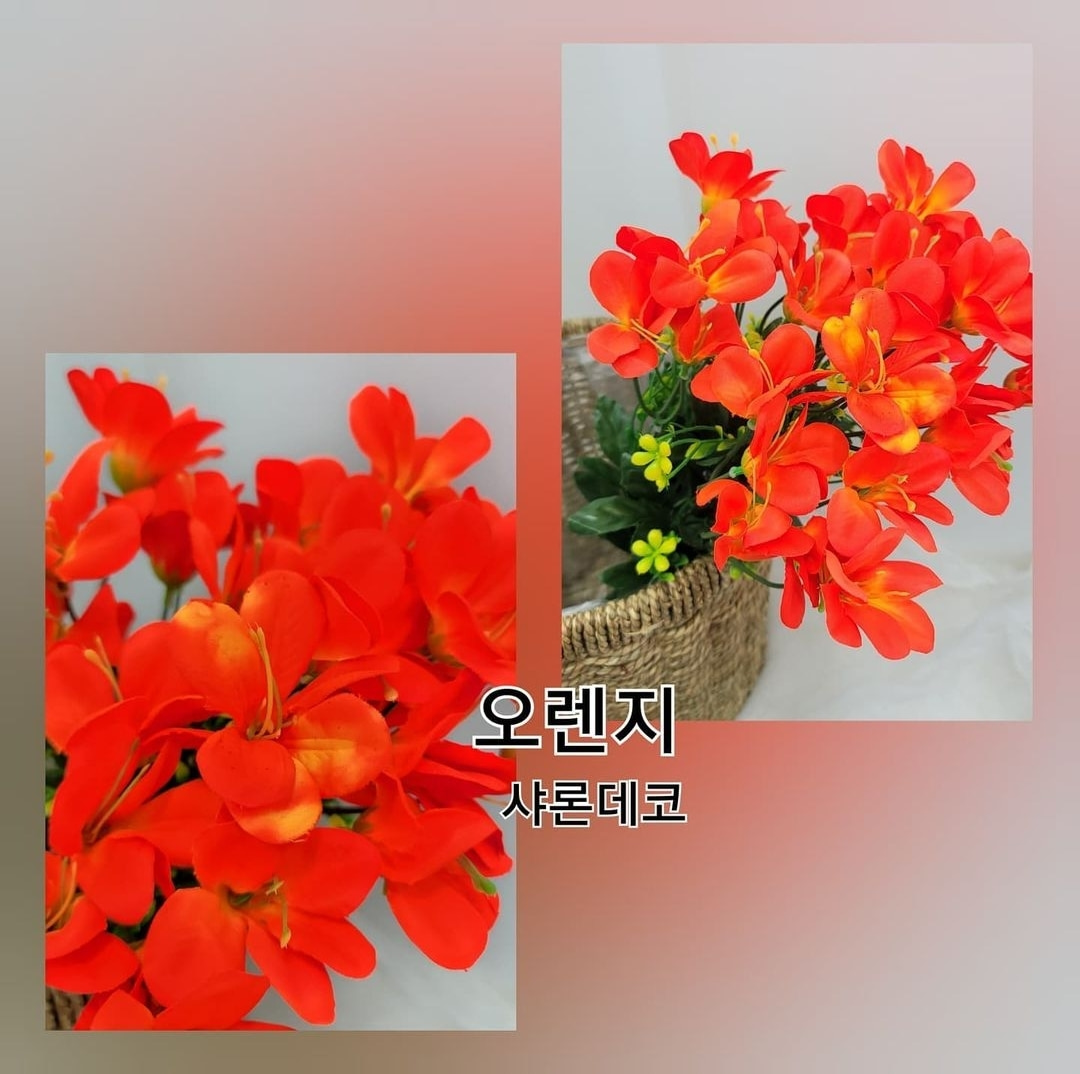 종꽃다발(4color)-오렌지
