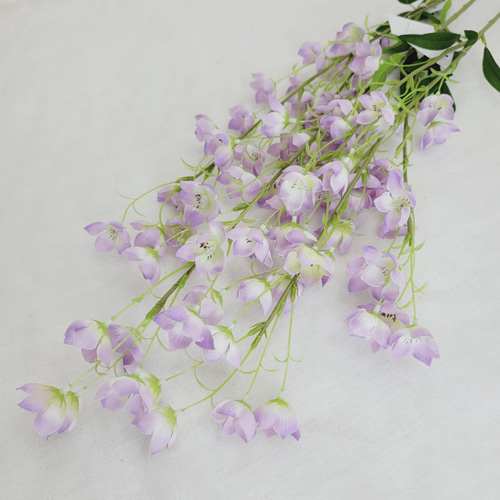 벨플라워(7color)- Lavender