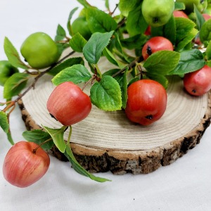 사과가지열매-레드옐로우