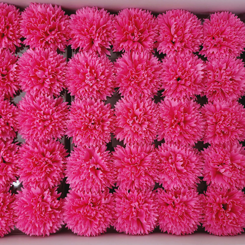 엘레강스비누꽃카네이션(9color)-진핑크