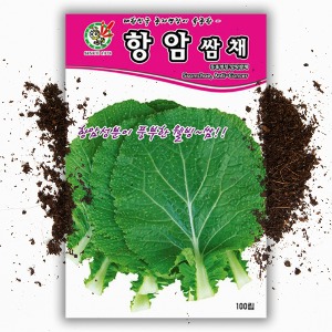 항암쌈채씨앗 (100립)