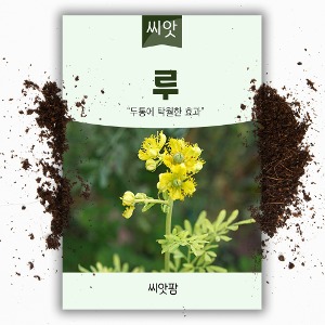 씨앗팜 허브 루 씨앗(150립)