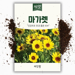 씨앗팜 허브 마가렛 씨앗 (600립)