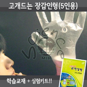 고개드는장갑인형(5인용세트)