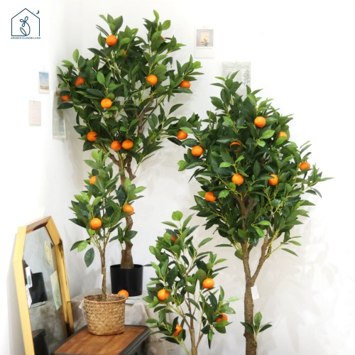 오렌지나무 (4size)