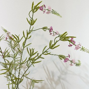 네추럴라벤더가지 (LAVENDER)