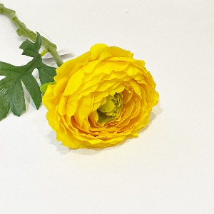 러넌가지32cm (YELLOW)