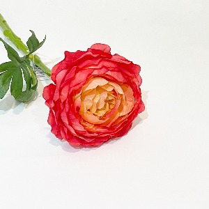 러넌가지32cm (ROSA)