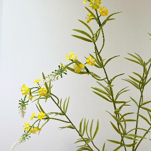 네추럴라벤더가지 (YELLOW)