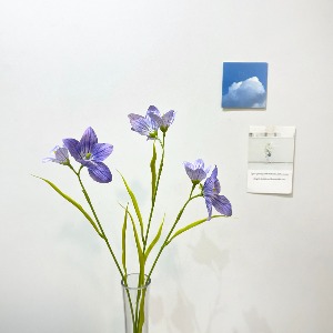 초롱꽃가지64cm (PURPLE)