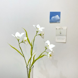 초롱꽃가지64cm (WHITE)