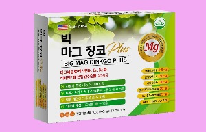 빅 마그 징코 플러스 900mg  120정 산화마그네슘 은행잎추출물 함유제품[쇼핑몰 이름]