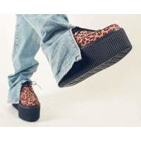 [BRM1970744] 티유케이 레오파드 Fabric 클래식 Stratocreeper 플랫폼 우먼스 S9791  T.U.K. Leopard Classic Platforms