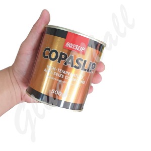 Molyslip Copaslip 500g