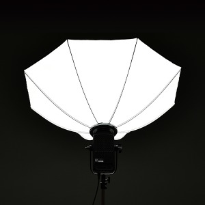 e7f7a123298eae68729b138b575d50