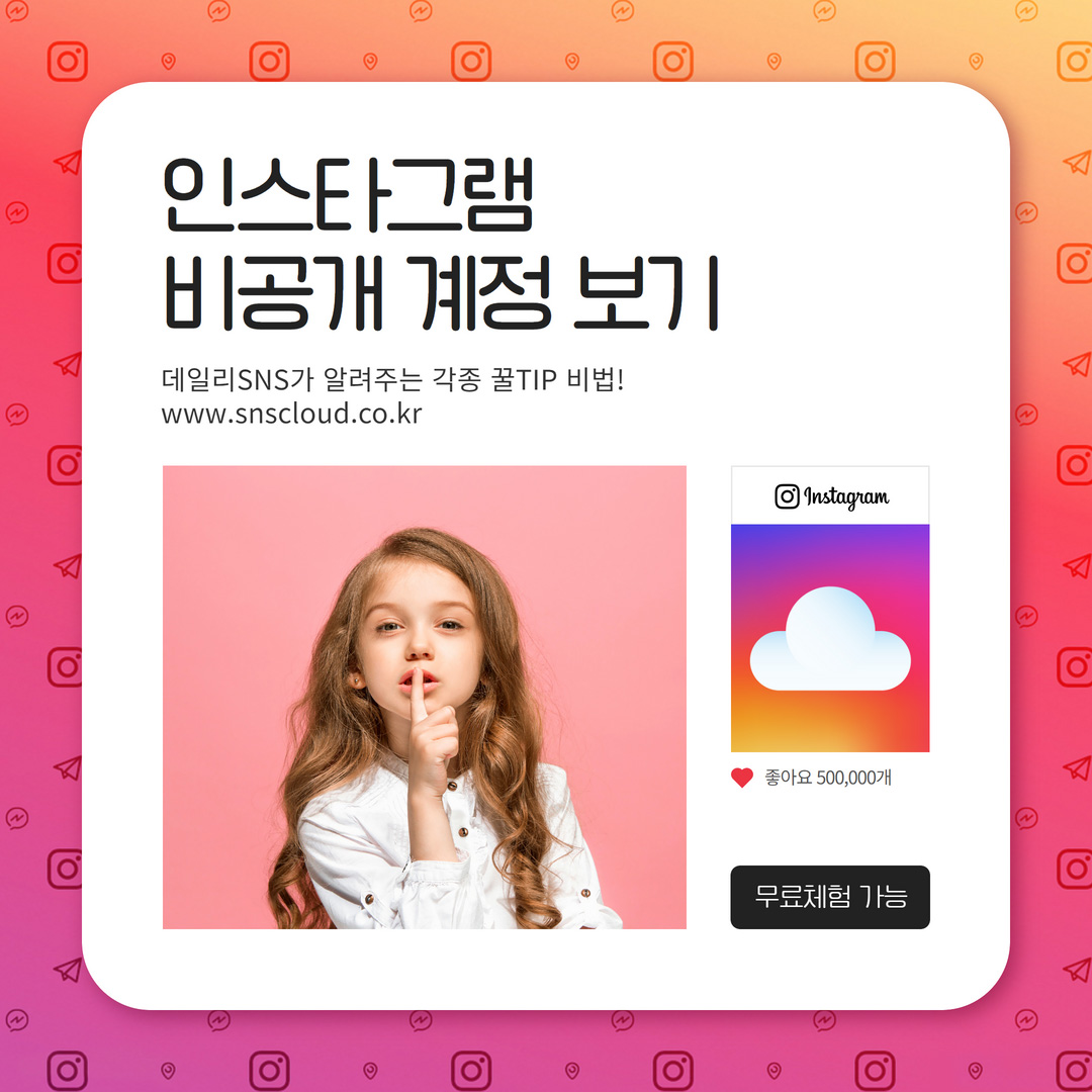 인스타그램 비공개 계정 게시물 보는 법 마케팅 (TIP) | 데일리SNS