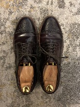 Alden x Ealdwine Medallion Tip Blucher Color 8 Shell Cordovan (us 10)