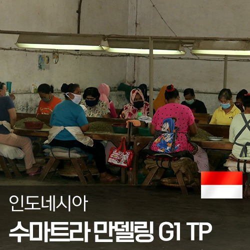 인도네시아 수마트라 만델링 G1 트리플 피킹