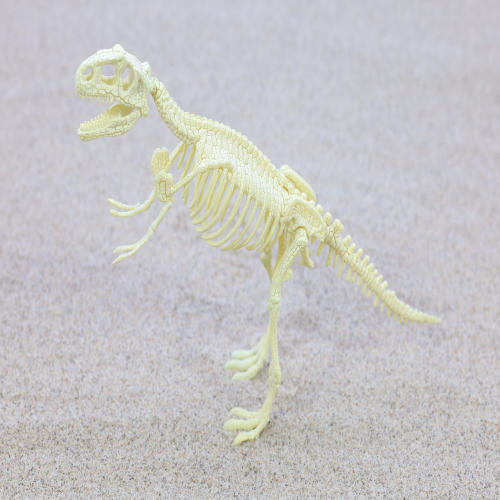 동물323 뼈공룡-티라노사우루스