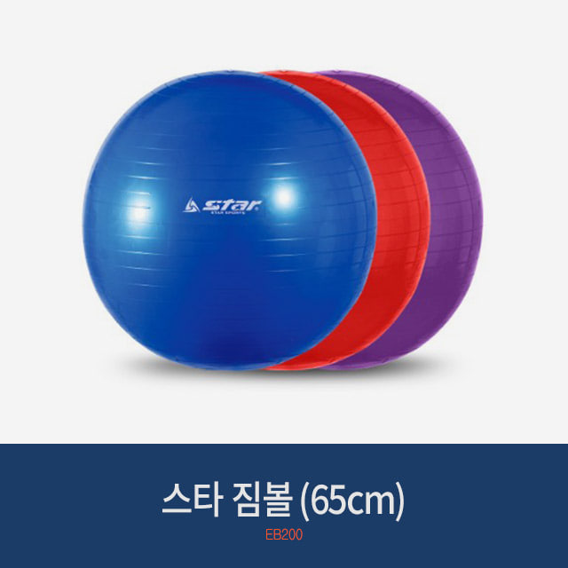 스타 다이어트 짐볼 65cm (3가지 컬러)