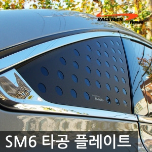 SM6 3D 타공 플레이트