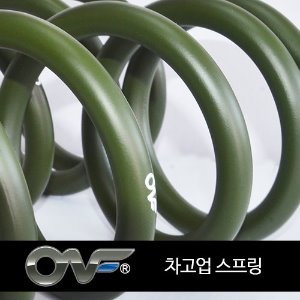 온프 업스프링 / 리어차고업 30~40mm 업 올뉴카렌스